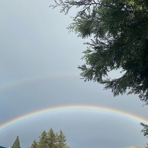 Meet your Posher, Kevyn